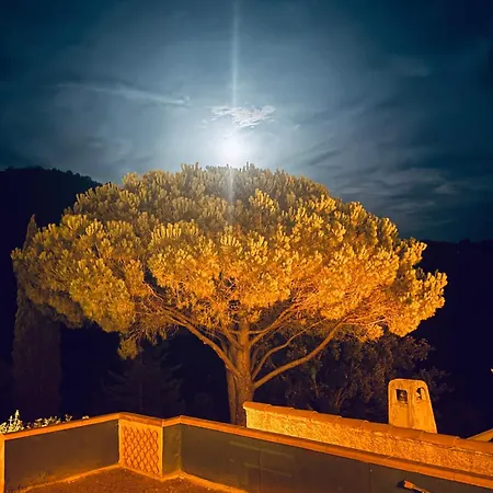 Maison Avec Piscine Privative Pres De La La Londe-les-Maures